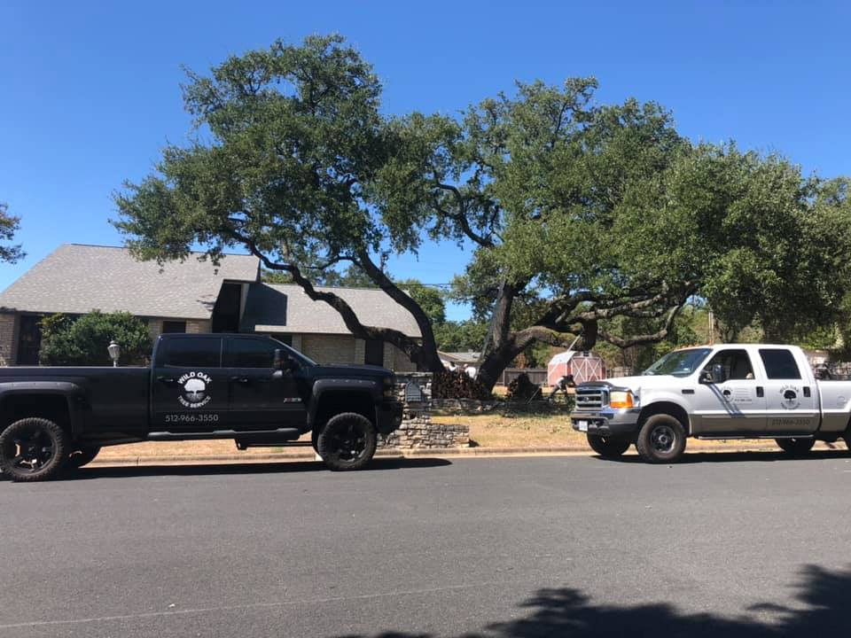 tree trimming services San Antonio TX