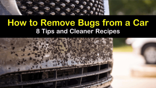 how to remove mosquitoes from car