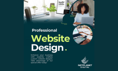 professional website design