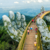tour to Vietnam