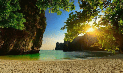 andaman and nicobar islands tour packages