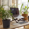 best standing desk converter