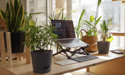 best standing desk converter