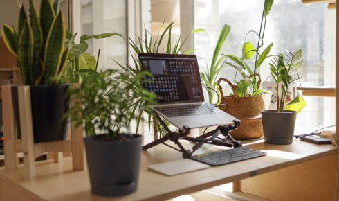 best standing desk converter
