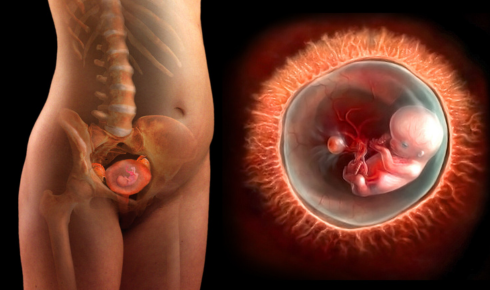 fertility diagnostic process