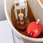 iron bacteria in well water
