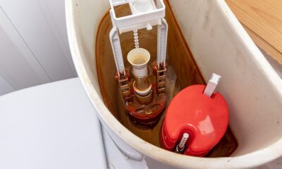 iron bacteria in well water