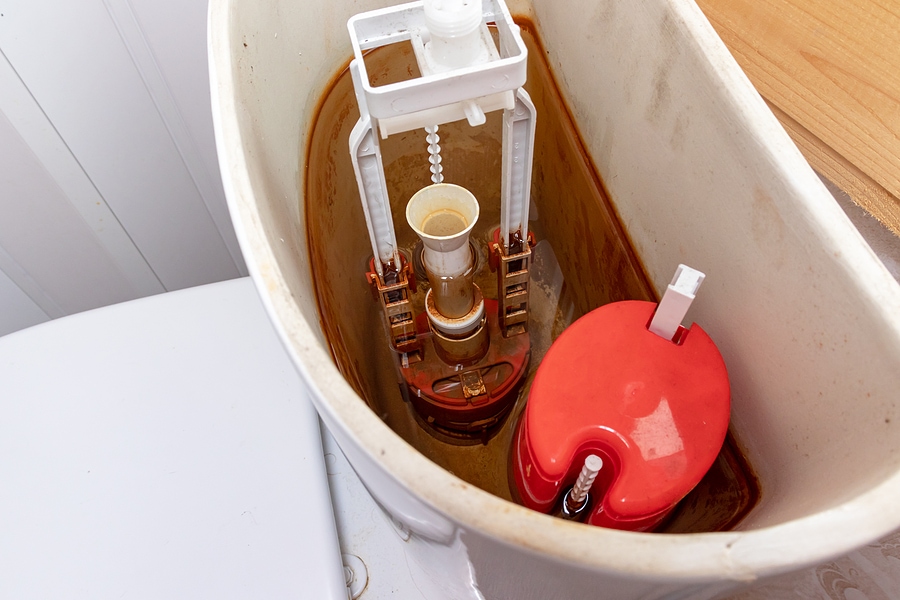 Understanding Iron Bacteria in Well Water and the Best Ways to Keep Your Water Clean